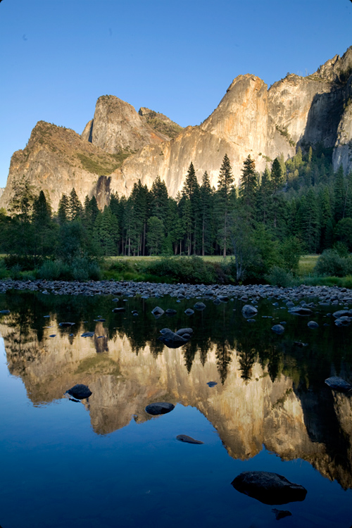 Reflections