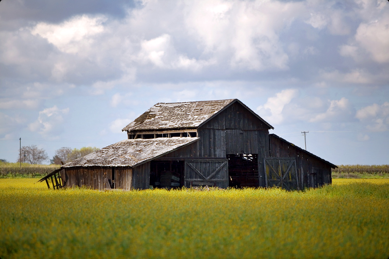 Barn