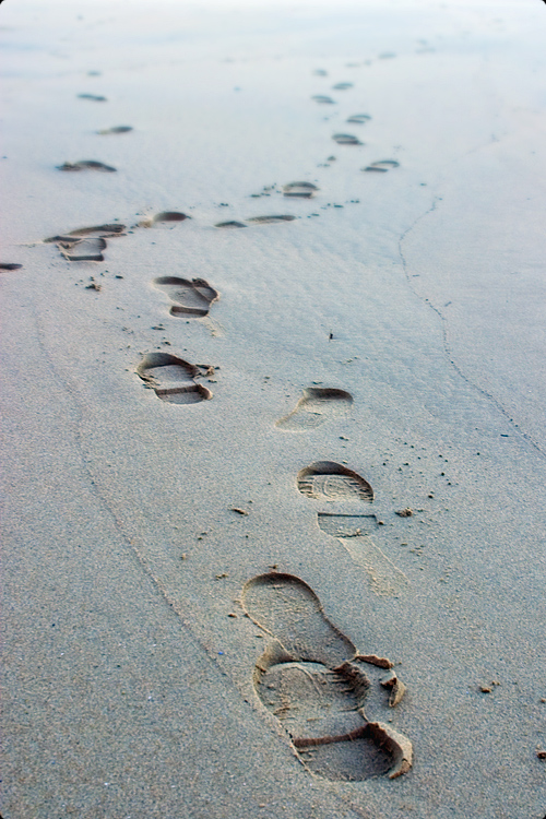 Pathways