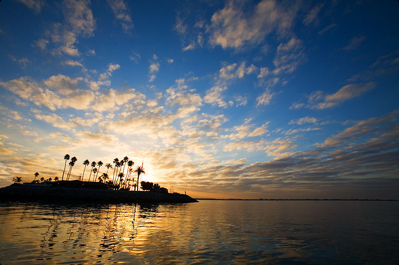 Island Oasis