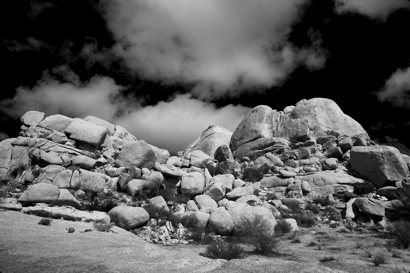 Joshua Tree