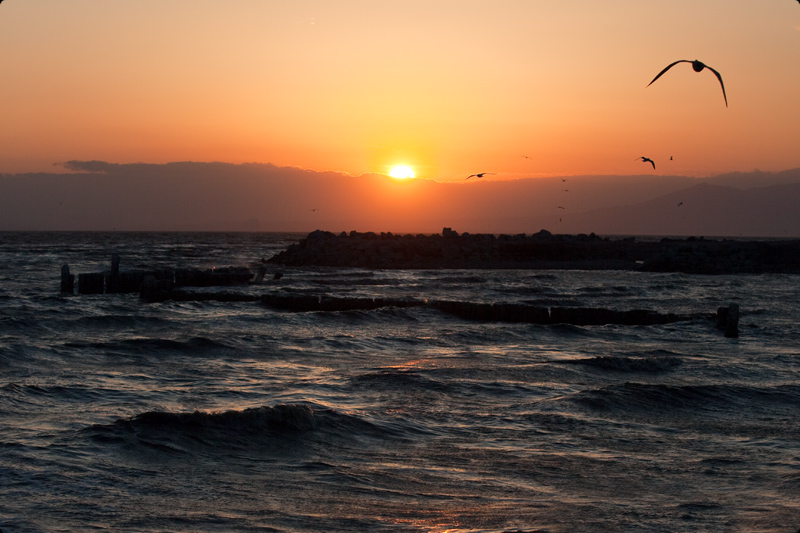 Salton Sea