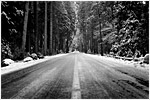 Snowy Road