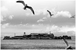 Alcatraz