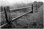 Fenced In