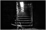 The Cellar