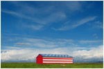 Stars & Stripes