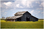 Barn