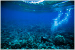Submerged