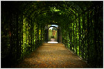 Garden Hallway