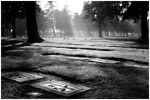 Belmont Memorial 2