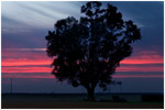 Madera Sunset