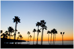The OC