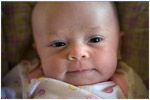Tristen