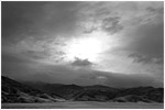 The Grapevine