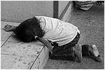 Siesta