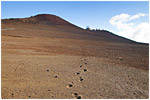 Mars Station
