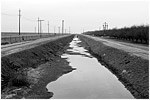 Puddles