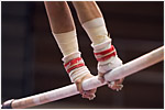 Grip