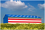 Stars and Stripes 2