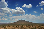 Road To Vegas