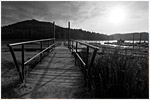 The Dock
