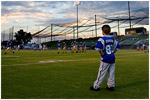 Field of Dreams