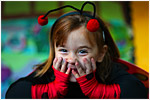 Ladybug